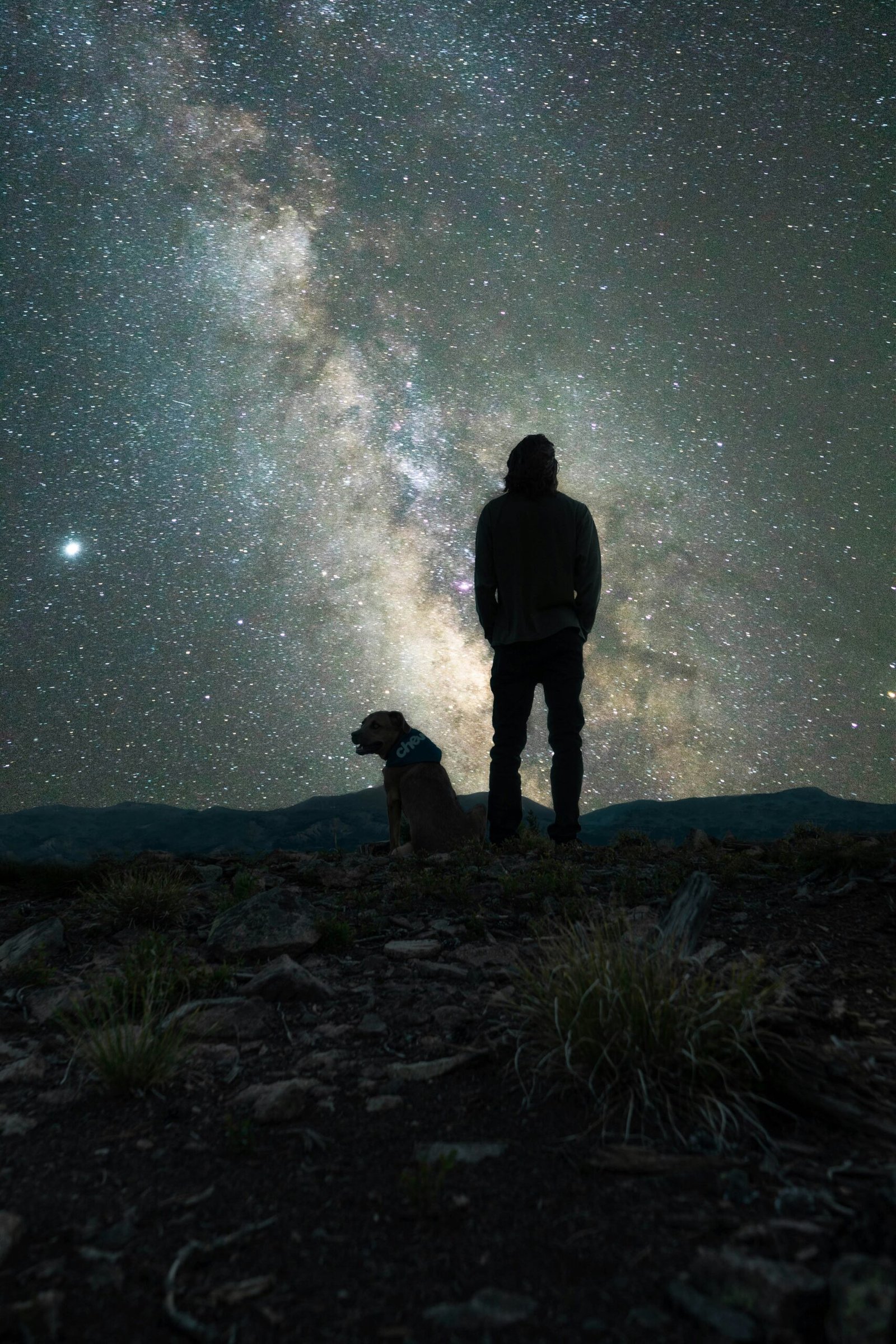 silhouette of man and dog standing on rock during night time